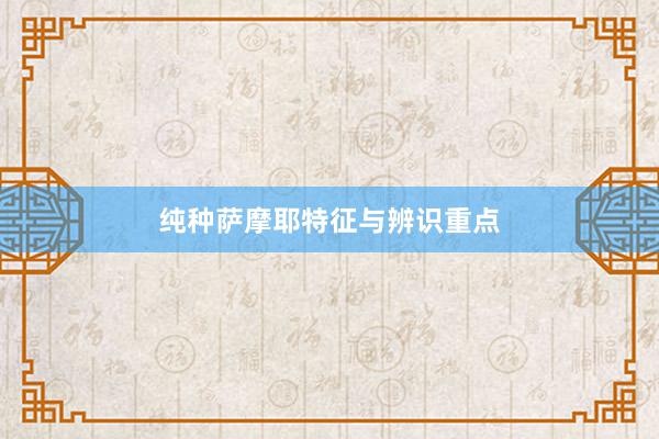 纯种萨摩耶特征与辨识重点