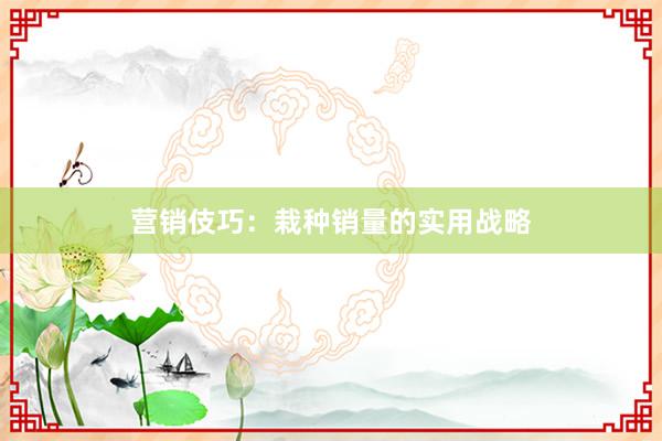 营销伎巧：栽种销量的实用战略